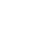 phone icon white